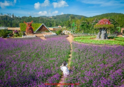 TOUR ĐÀ LẠT 3 NGÀY (DL05)