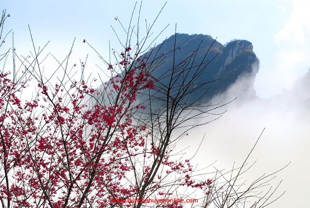 hàm rồng